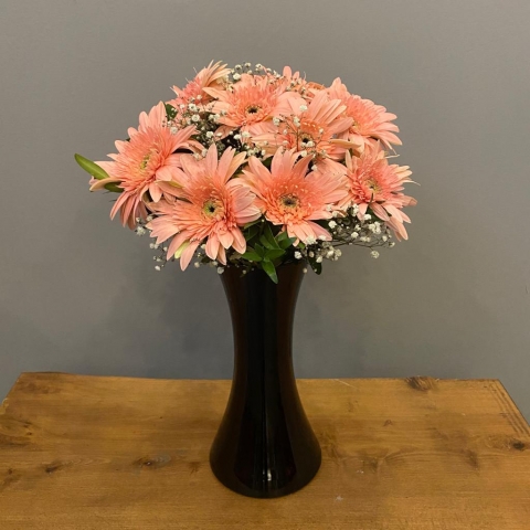 Vazoda Pembe Gerbera