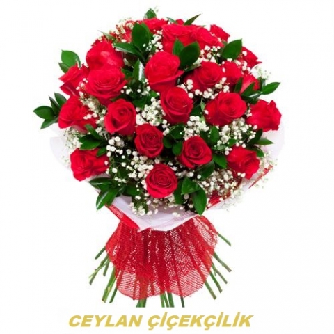 29 Adet Kırmızı Gül