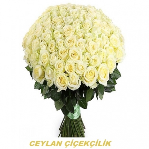 100 Adet Beyaz Gül Buketi