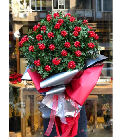 Yılbaşı Çiçeği 09